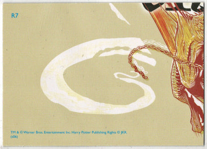 Harry Potter Memorable Moments Prismatic Foil Chase Card R7 Hungarian Horntail
