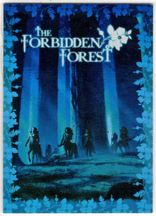 Harry Potter And The Order Of The Phoenix Box Topper Card BT3