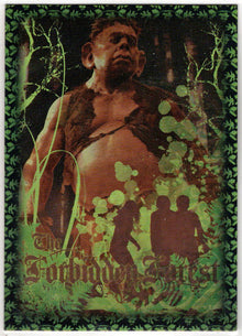Harry Potter And The Order Of The Phoenix Prismatic Foil Puzzle Card R6
