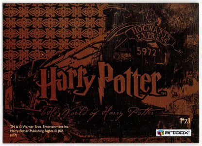 World of Harry Potter In 3D 1st Edition Lenticular Puzzle Card PZ1