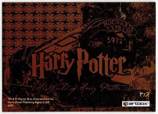 World of Harry Potter In 3D 1st Edition Lenticular Puzzle Card PZ2