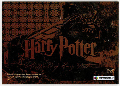 World of Harry Potter In 3D 1st Edition Lenticular Puzzle Card PZ6