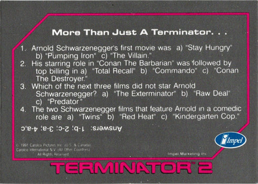 1991 Impel Terminator 2 Hologram Card NNO