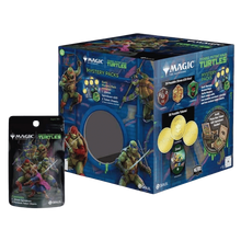 Teenage Mutant Ninja Turtles Mystery Pack [Sirius Dice]