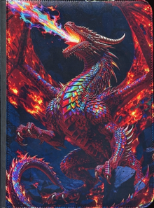 Maggot Labs™ 9-Pocket Zippered Binder - Chromatic Stormdrake