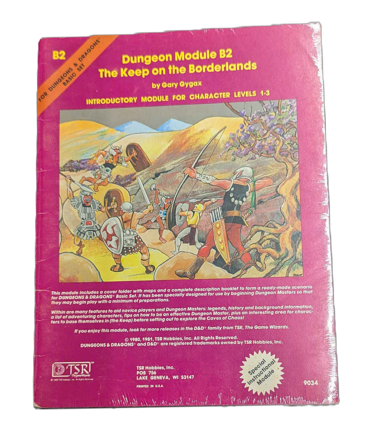 TSR Dungeons & Dragons Dungeon Module B2: The Keep on the Borderlands