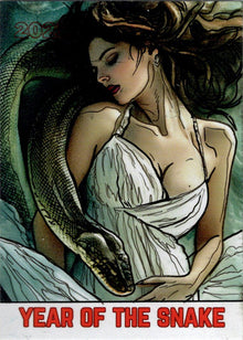 2025 5finity Year Of The Snake Sketch Card by Michael Munshaw