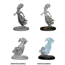 Nolzur's Marvelous Miniatures -  Unpainted: Ghost and Banshee