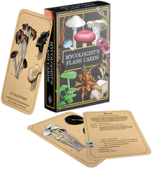Mycologist's Primer: Flash Cards