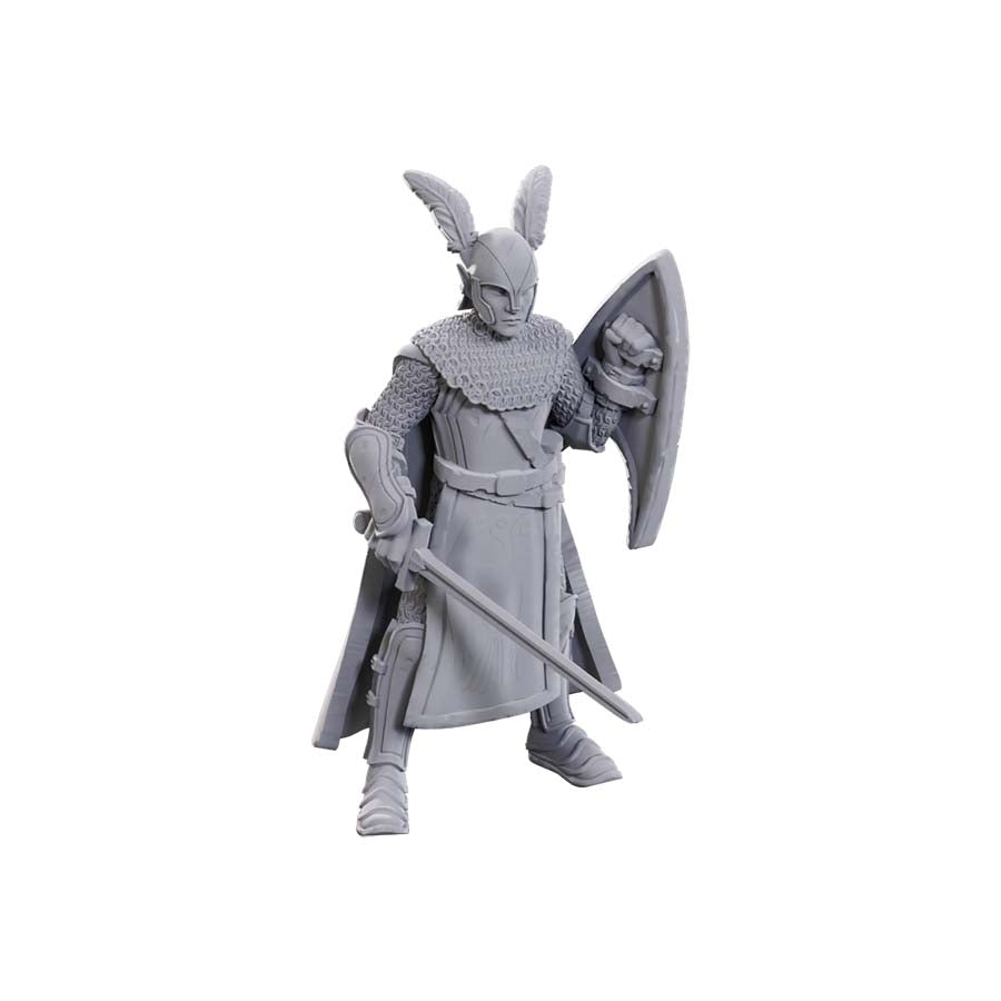 Nolzur's Marvelous Miniatures -  Unpainted: 50th Anniversary - Elves