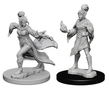 Pathfinder Battles Deep Cuts Miniatures - Unpainted: Elf Sorcerer