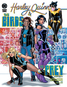 HARLEY QUINN AND THE BIRDS OF PREY #4 (OF 4) CVR A AMANDA CO