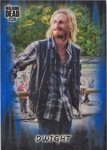 Walking Dead Hunters Hunted Blue Parallel Card 19 Base Chase 17/50
