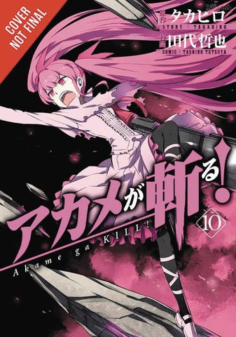 Akame Ga Kill Graphic Novel Volume 10