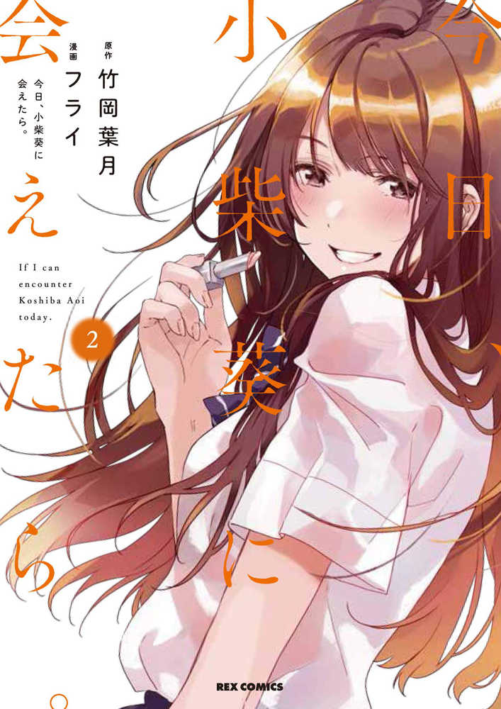 Chasing After Aoi Koshiba Graphic Novel Volume 02 (Mature)
