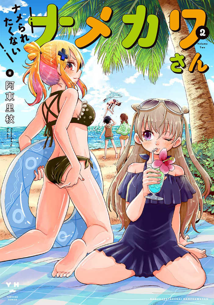 Namekawa San Wont Take A Licking Graphic Novel Volume 02