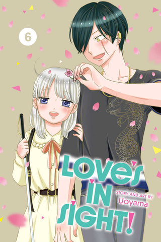 Loves In Sight Graphic Novel Volume 06