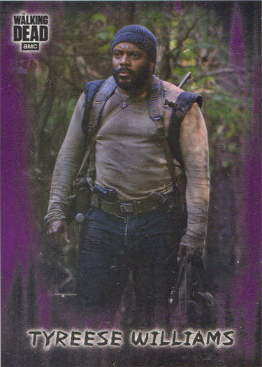 Walking Dead Hunters Hunted Purple Parallel Card 25 Base Chase 01/10