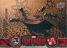 Marvel Ant-Man Bronze Base Parallel Chase Card 60