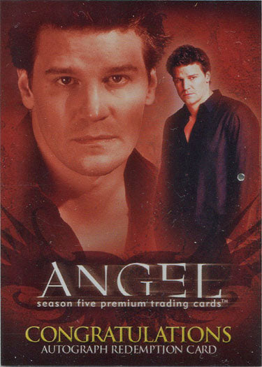 Angel Season 5 AR-1 Tom Lenk as Andrew Expired Autograph Redemption Card