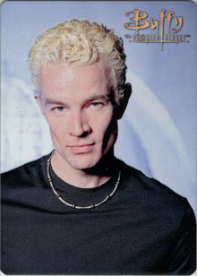 Buffy Ultimate Collectors Series 2 Metal Chase Card BM3 James Marsters