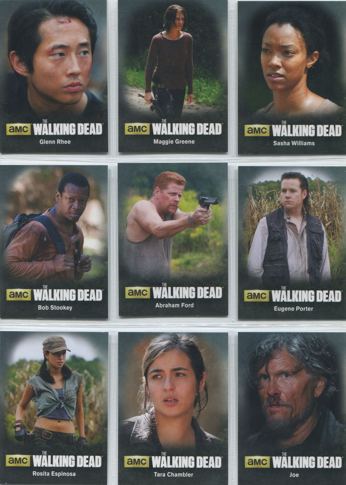 Walking Dead Season 4 Part 2 Character Bio 9 Card Chase Set
