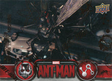 Marvel Ant-Man Bronze Base Parallel Chase Card 41