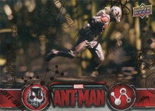 Marvel Ant-Man Bronze Base Parallel Chase Card 58