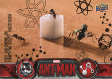 Marvel Ant-Man Bronze Base Parallel Chase Card 59
