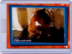 Osbournes CL-1 Turd Case Topper Loader Card