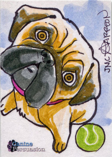Canine Persuasion Sketch Card by Andy Carreon