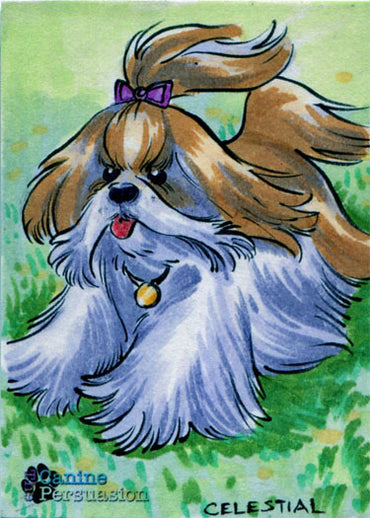 Canine Persuasion Sketch Card by Mel Celestial