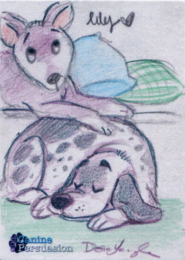 Canine Persuasion Sketch Card by Dean Yeagle and Lilia Costantino