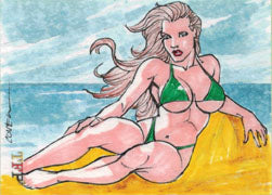 Female Persuasion 3 Sketch Card by Roy Cover of Beach Girl V2