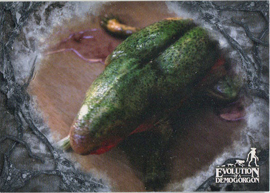 Stranger Things Upside Down Evolution Chase Card EV-4 Stage 4 Catogorgon