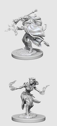 Nolzur's Marvelous Miniatures - Unpainted: Tiefling Warlock