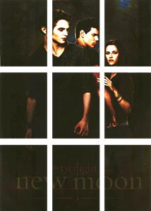 NECA Twilight Movie New Moon Series 2 Foil Puzzle 9 Card Chase Set
