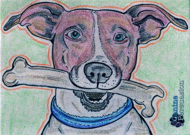 Canine Persuasion Sketch Card by Rusty Gilligan