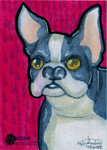 Canine Persuasion Sketch Card by Kylie Johnston