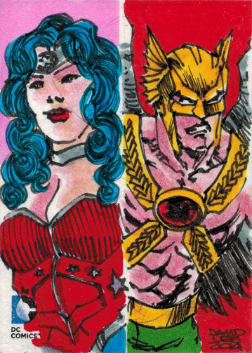 DC Comics Epic Battles Sketch Card by David Lee of Wonder Woman & Hawkman
