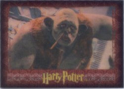 World of Harry Potter in 3D P1 Promo Card