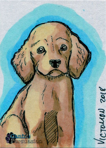 Canine Persuasion Sketch Card by Victor Rodriguez