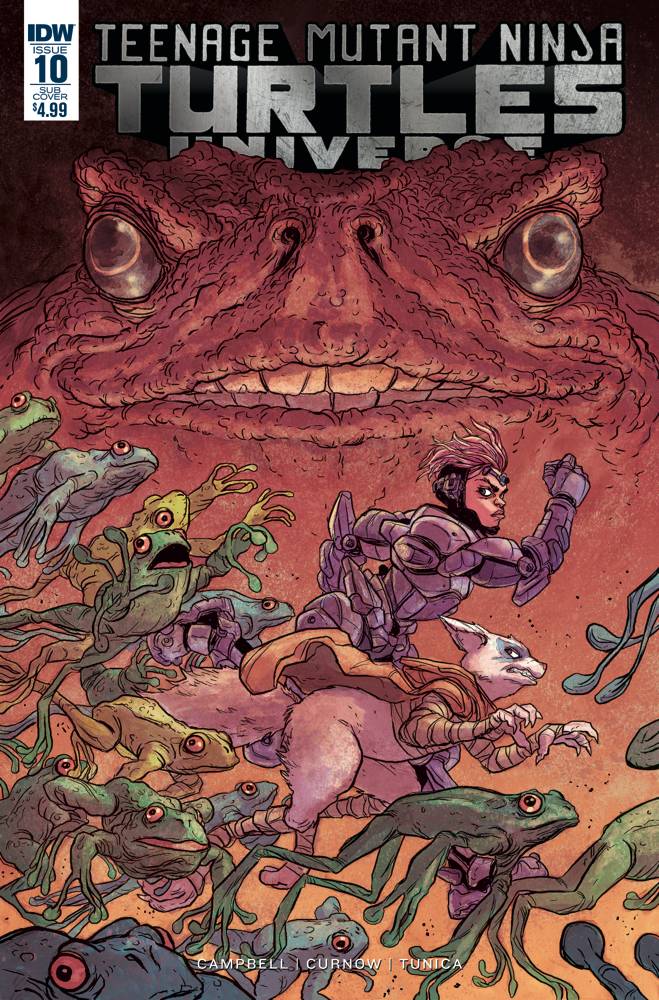 Teenage Mutant Ninja Turtles Universe 10 Var A Comic Book NM