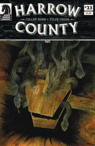 Harrow County 23 Comic Book NM