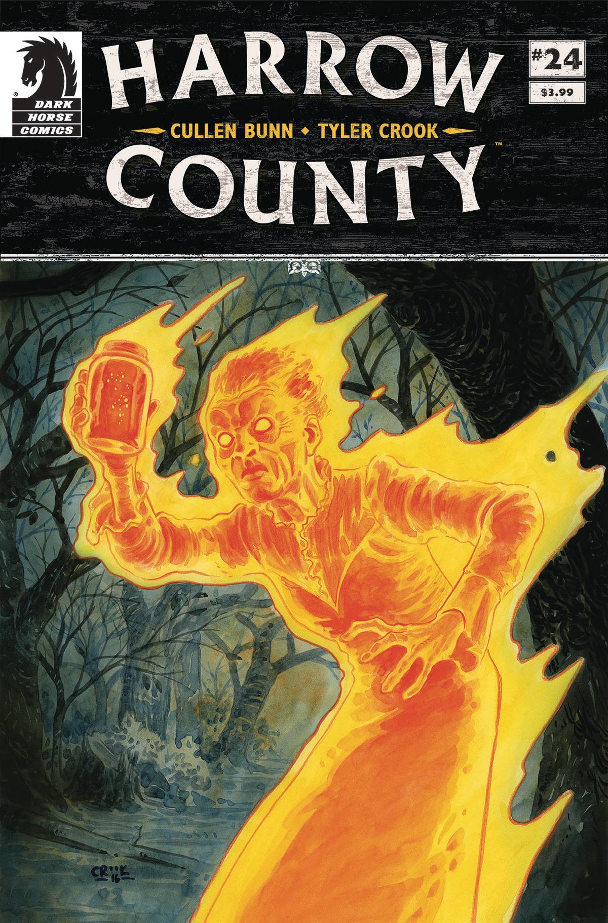 Harrow County 24 Comic Book NM