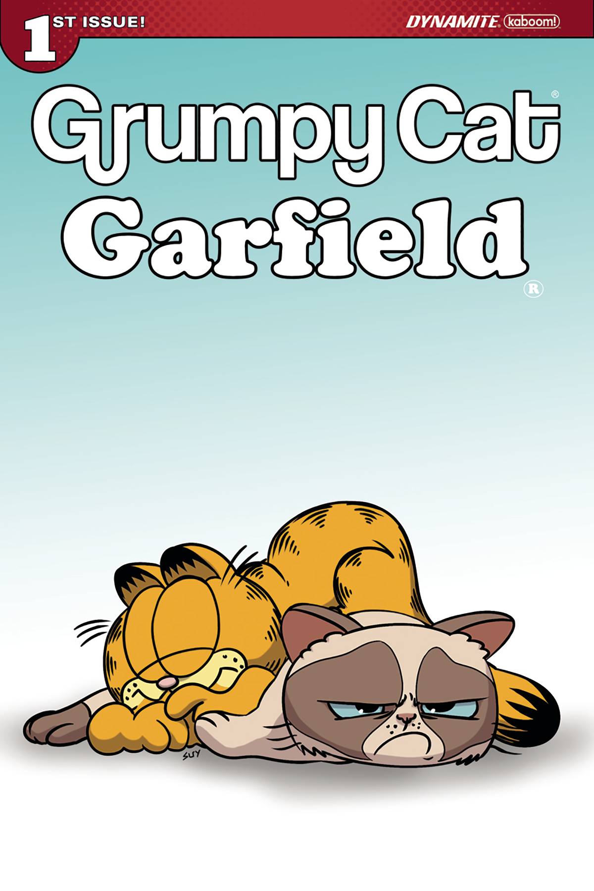 Grumpy Cat/Garfield 1 Var B Comic Book NM