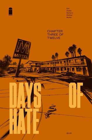 Days of Hate 3 Comic Book NM