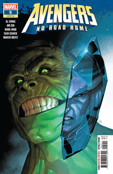 Avengers: No Road Home 5-2 Comic Book