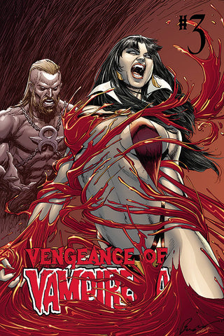 Vengeance of Vampirella (2nd Series) 3 Var C Comic Book NM