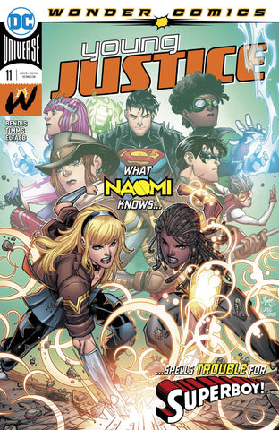 Young Justice (3rd Series) 11 Comic Book NM